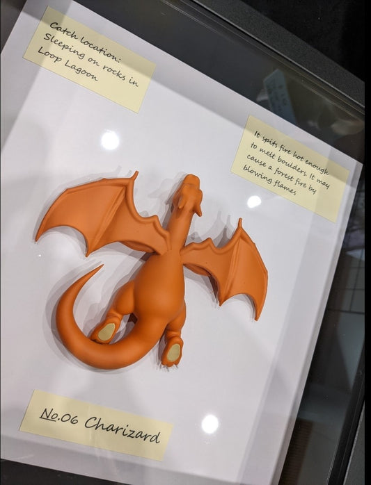 Pokemon inspired handmade Charizard taxidermy